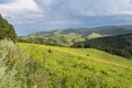 Beautiful summer landscape in Altai Mountains