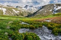 Beautiful summer landscape, Altai mountains Russia. Royalty Free Stock Photo