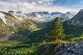 Beautiful summer landscape, Altai mountains Russia. Royalty Free Stock Photo