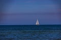 Summer landscape from the Baltic Sea with blue water and sky and a white sailboat Royalty Free Stock Photo