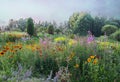 Beautiful summer landscape with blooming garden flowers. Rudbeckia and fireweed plants.