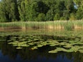 Beautiful summer landscape with calm lake, meadows,