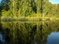 Beautiful summer landscape with calm lake, reflections of different trees,