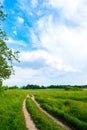 Beautiful summer landscape. Countryside with road on the field, green grass, trees and dramatic blue sky with fluffy clouds Royalty Free Stock Photo