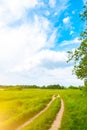 Beautiful summer landscape. Countryside with road on the field, green grass, trees and dramatic blue sky with fluffy clouds Royalty Free Stock Photo