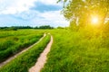 Beautiful summer landscape. Countryside with road on the field, green grass, trees and dramatic blue sky with fluffy clouds Royalty Free Stock Photo