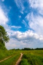 Beautiful summer landscape. Countryside with road on the field, green grass, trees and dramatic blue sky with fluffy clouds Royalty Free Stock Photo