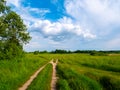 Beautiful summer landscape. Countryside with road on the field, green grass, trees and dramatic blue sky with fluffy clouds Royalty Free Stock Photo