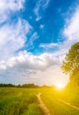 Beautiful summer landscape. Countryside with road on the field, green grass, trees and dramatic blue sky with fluffy clouds Royalty Free Stock Photo