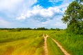 Beautiful summer landscape. Countryside with road on the field, green grass, trees and dramatic blue sky with fluffy clouds Royalty Free Stock Photo
