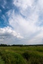 Beautiful summer landscape. Countryside with road on the field, green grass, trees and dramatic blue sky with fluffy clouds Royalty Free Stock Photo