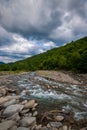 Beautiful summer landscape. Fast flowing mountain river Royalty Free Stock Photo
