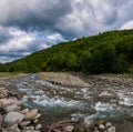 Beautiful summer landscape. Fast flowing mountain river Royalty Free Stock Photo