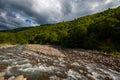 Beautiful summer landscape. Fast flowing mountain river Royalty Free Stock Photo