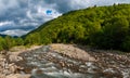 Beautiful summer landscape. Fast flowing mountain river Royalty Free Stock Photo