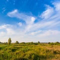 Beautiful summer landscape with field of green grass