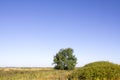 Beautiful summer landscape