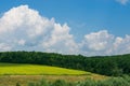 Beautiful summer landscape field of wheat with sky big clouds Royalty Free Stock Photo