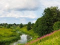 Beautiful summer landscape. Fields, flowers, village, blue sky