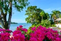 Beautiful summer landscape with flowers, trees and sea view with boat on water