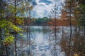 Beautiful summer landscape, forest trees are reflected in calm river water against a background of blue sky and white clouds Royalty Free Stock Photo