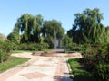 beautiful summer landscape fountain in city park Royalty Free Stock Photo