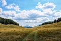 Beautiful summer landscape with fresh green grass, blue sky and white puffy clouds. Royalty Free Stock Photo