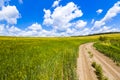 Beautiful summer landscape with green grass, dirt gravel road and white clouds. Royalty Free Stock Photo