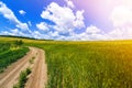 Beautiful summer landscape with fresh green grass, dirt gravel road, blue sky and white puffy clouds. Path through crop fields. Royalty Free Stock Photo