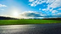 Beautiful summer landscape with green cereal fields and blue sky. Wet asphalt road Royalty Free Stock Photo