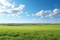 Beautiful summer landscape of green field and blue sky with white clouds Royalty Free Stock Photo