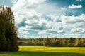 Beautiful summer landscape green field forest and blue sky Royalty Free Stock Photo