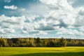 Beautiful summer landscape green field forest and blue sky Royalty Free Stock Photo
