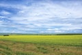 Beautiful Summer Landscape with Green Grass and Blue Sky Royalty Free Stock Photo