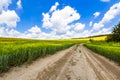 Beautiful summer landscape with green grass, dirt gravel road and white clouds. Royalty Free Stock Photo