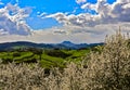 Beautiful summer landscape with green meadow, mountains and blue sky, Bismantova Rock Royalty Free Stock Photo