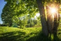 Beautiful summer landscape of green nature. Bright sun lights through branches of foliages trees. Clear sunny morning green park Royalty Free Stock Photo
