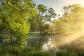 Beautiful summer landscape of green trees along picturesque banks of river on sunny morning. rays of sunlight through fog Royalty Free Stock Photo