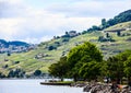 Beautiful Summer landscape of Lake Geneva, Lavaux vineyard terraces and Alps, Lutry village, Switzerland, Europe Royalty Free Stock Photo