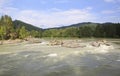 Beautiful summer landscape mountain river Katun. Royalty Free Stock Photo