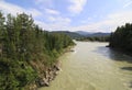 Beautiful summer landscape mountain river Katun. Royalty Free Stock Photo