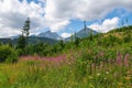 Beautiful summer landscape - mountains, lush forest Royalty Free Stock Photo