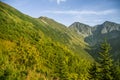 A beautiful summer landscape in mountains. Natural scenery in mountains, national park.