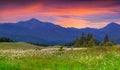 Beautiful summer landscape in the mountains. Royalty Free Stock Photo