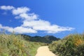 Beautiful summer landscape in the mountains with yellow flowers Royalty Free Stock Photo