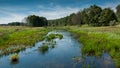 Beautiful summer landscape. narrow River in a swampy area in front of the forest