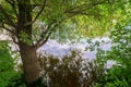 Beautiful summer landscape.Nerl river,illuminated by the setting evening sun Royalty Free Stock Photo