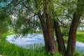 Beautiful summer landscape.Nerl river,illuminated by the setting evening sun