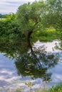 Beautiful summer landscape.Nerl river,illuminated by the setting evening sun Royalty Free Stock Photo