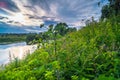 Beautiful summer landscape.Nerl river,illuminated by the setting evening sun Royalty Free Stock Photo